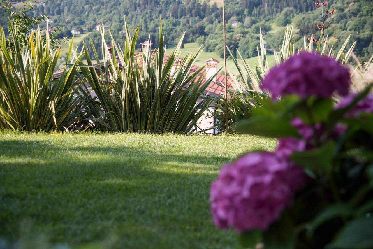 La Casa Di Emy Villa Solto Collina Eksteriør bilde
