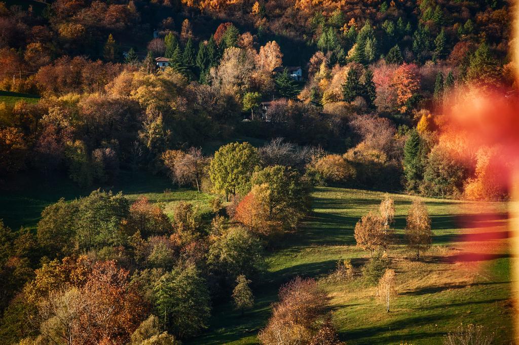 La Casa Di Emy Villa Solto Collina Rom bilde